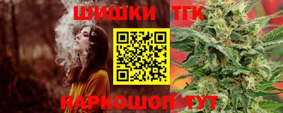 индика Усть-Джегута
