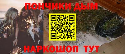 индика Усть-Джегута