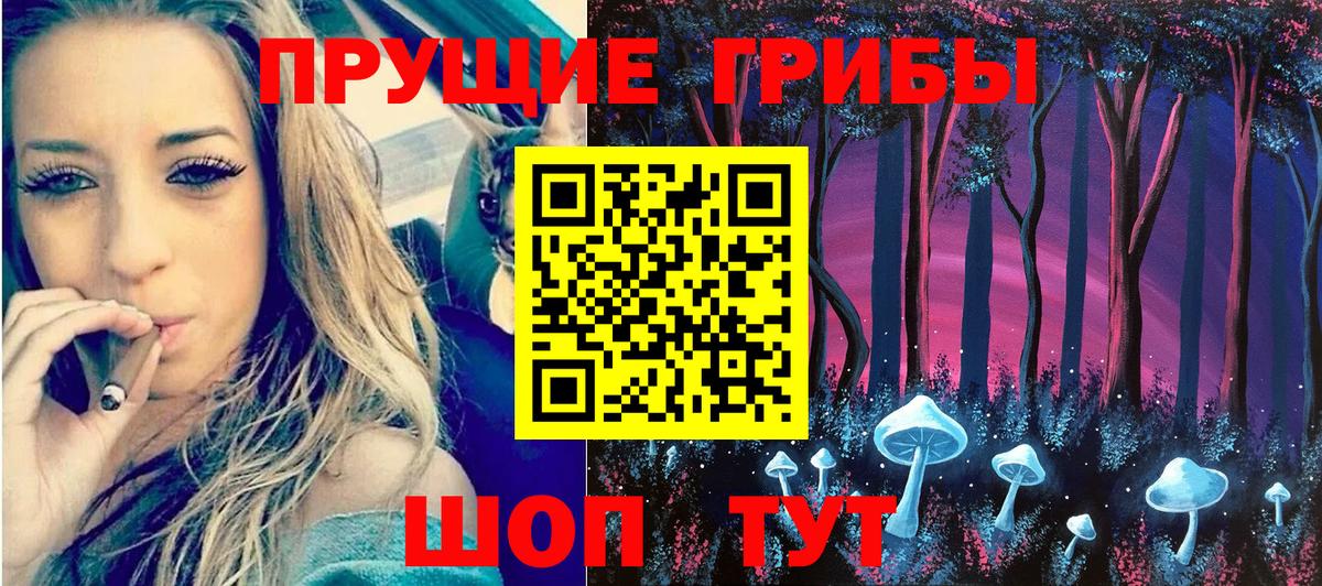 Ачхой-Мартан  Псилоцибиновые грибы Psilocybe  Вход с VPN 